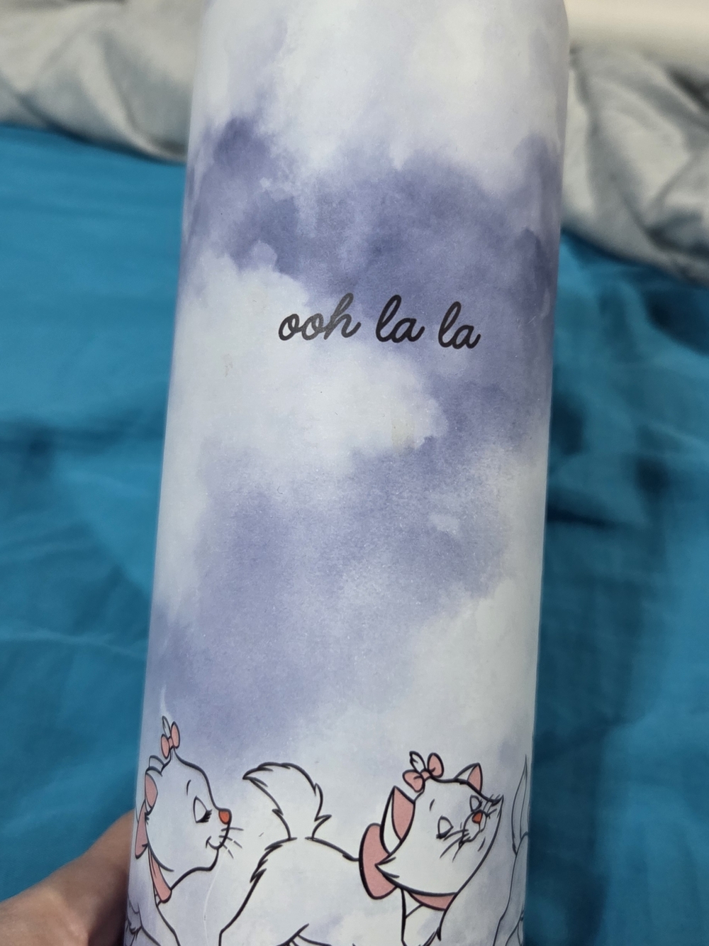 Disney Blue Insulated Drink Bottle